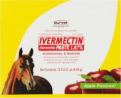 Durvet Apple Flavored Ivermectin Dewormer Paste for Horses, 0.21 oz (6.08g)