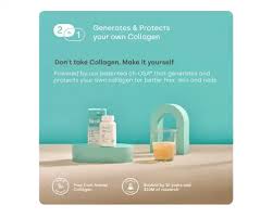 BioSil Advanced Collagen Generator with ch-OSA | Hair, Skin & Nails | 120 Capsules
