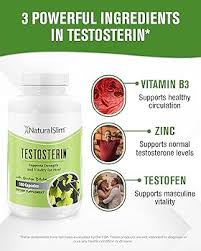 NaturalSlim Testosterin Men's Testosterone Booster and Daily Multivitamin - 180 Count